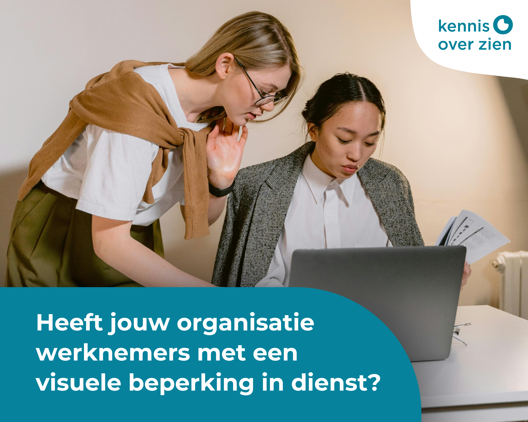 Beeld met de tekst: Heeft jouw organisatie werknemers met een visuele beperking in dienst?