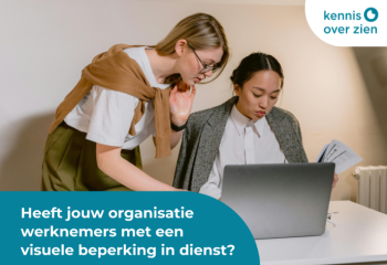 Beeld met de tekst: Heeft jouw organisatie werknemers met een visuele beperking in dienst? 